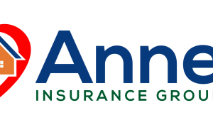 Business Silver Sponsor Ravi Anne